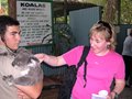 Koalas