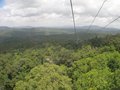 Seilbahn über den Regenwald