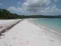 Whitehaven Beach