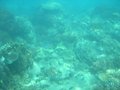 Great Barrier Reef